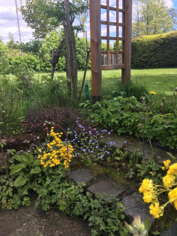 Familienapartments Mit Balkon Und Garten Ober-Lembach Экстерьер фото